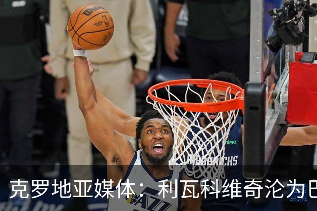 克罗地亚媒体：利瓦科维奇沦为巴萨第三门将，国家队成最大输家